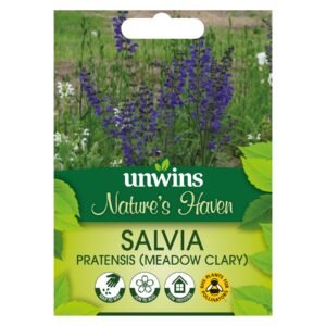 Unwins Flower Flowers for Wildlife Meadow Clary - 100 Seeds