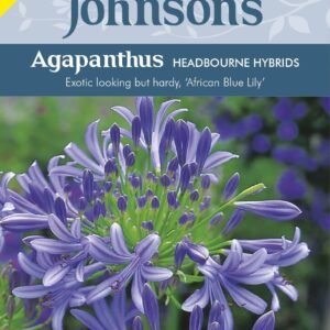 Johnson Seeds - Flower - Agapanthus Headbourne Hybrids - 20 Seeds