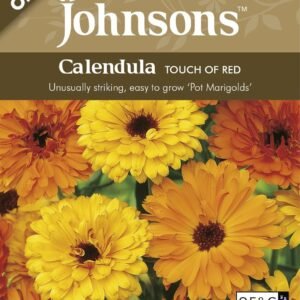 Johnson Seeds - Organic Flower - Calendula Touch Of Red - 100 Seeds