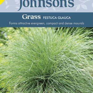 Johnson Seeds - Ornamental Grass - Festuca Glauca - 100 Seeds