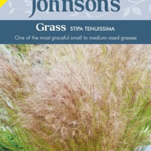 Johnson Seeds - Ornamental Grass - Stipa Tenuissima - 100 Seeds