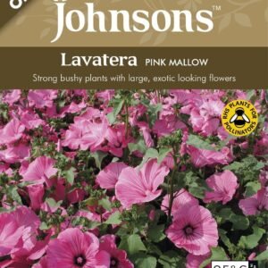 Johnson Seeds - Organic Flower - Organic Lavatera Pink Mallow - 75 Seeds