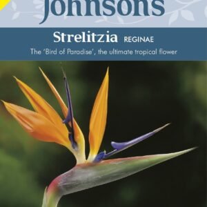 Johnson Seeds - Flower - Strelitzia Reginae - 10 Seeds