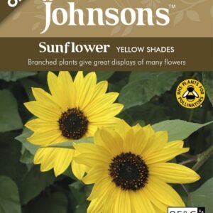 Johnson Seeds - Organic Flower - Organic Sunflower Yellow Shades - 60 Seeds
