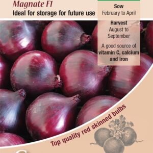 Kings Seeds  Onion Magnate F1 Seeds