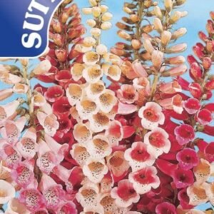 Sutton Seeds - Digitalis Seeds - Speckled Spires Mix