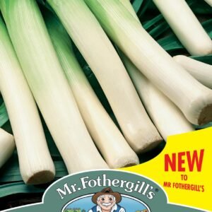 Mr Fothergills - Vegetable - Leek - Norwich F1 - 50 Seeds