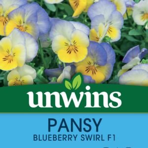 Unwins Pansy Blueberry Swirl 20 Seeds