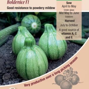 Kings Seeds Courgette Boldenice F1 Seeds