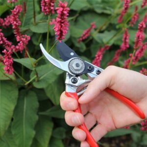 Darlac DP930 Professional Pruner Garden Secateurs UK SHIPPING ONLY
