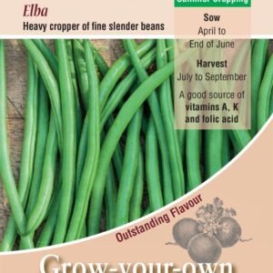Kings Seeds  Dwarf French Bean Elba Seeds