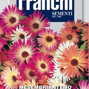 Franchi Seeds of Italy - Flower - FDBF_ 337-1 - Mesembrianthum - Mix - Seeds