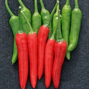 Pepper (Chilli) Pelita Seeds