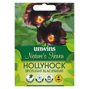 Unwins Flower Hollyhock Spotlight Blacknight - 15 Seeds
