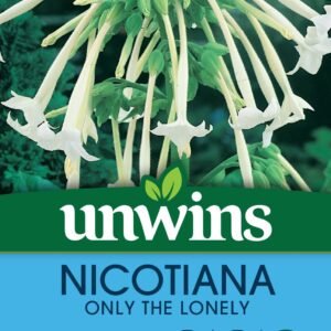 Unwins Nicotiana Sylvestris Only The Lonely 2000 Seeds