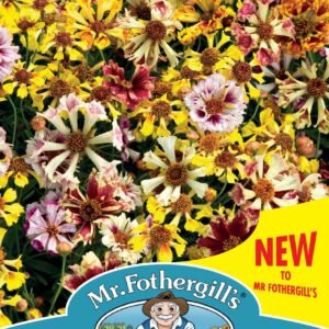Mr Fothergills - Flower - Coreopsis - Incredible! - Sea Shells Mixed - 200 Seeds