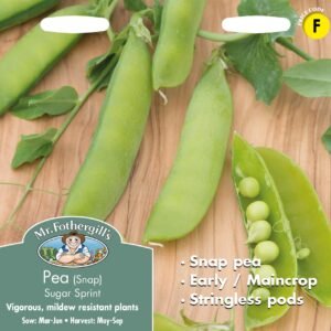 Mr Fothergills - Vegetable - Pea - Sugar Sprint (Snap) - 150 Seeds