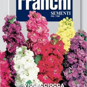Franchi Seeds of Italy - Flower - FDBF_ 357-1 - Mattiola Incana - Scented Stock - Seeds