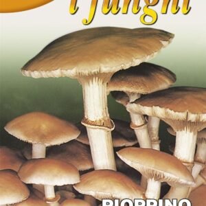 FRANCHI - POPLAR MUSHROOM - PIOPPINO - PHOLIOTA AEGERITA - 100G