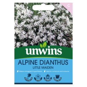 Unwins Flower Dianthus arenarius f. nanus Little Maiden - 50 Seeds