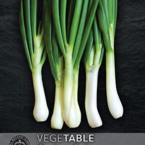 Thompson & Morgan Kew Vegetable Spring Onion Ishikura - 600 Seeds