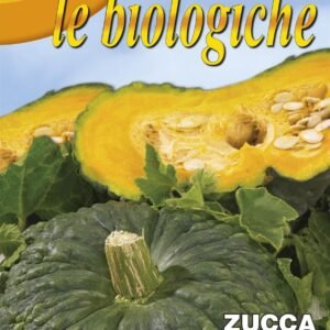 Franchi Organic BIOB145/2 Pumpkin Marina Di Chioggia 20 Seeds