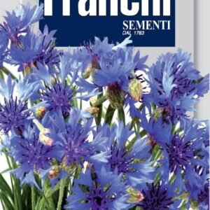 Franchi Seeds of Italy - Flower - FDBF_ 320-2 - Cornflower - Jubilee Gem - Seeds