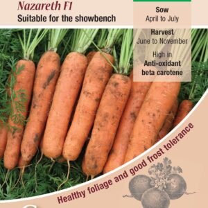 Kings Seeds  Carrot Nazareth F1 Seeds