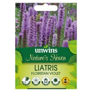 Unwins Flower Liatris Floristan Violet - 40 Seeds