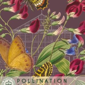 Thompson & Morgan Flower Perennial Sweet Pea - 20 Seeds