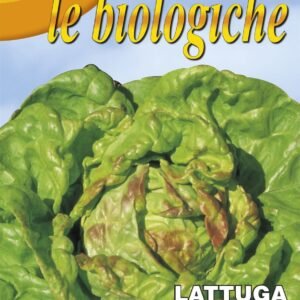 Franchi Organic BIOB79/1 Lettuce Regina Di Maggio 3000 Seeds