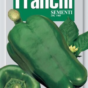 Franchi Seeds of Italy - DBO 97/59 - Pepper - Yolo Wonder - Seeds