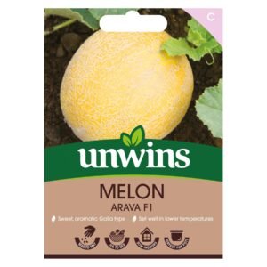 Unwins Vegetable Melon Arava F1 Hybrid - 5 Seeds