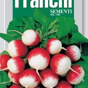 Franchi - 112/003 - Radish - Gaudry 2 - Seeds