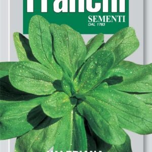 Franchi Seeds of Italy Corn Salad D'Olanda A Seme Grosso Seeds