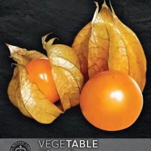 Thompson & Morgan Kew Fruit Physalis Edulus Peruviana (Golden Berry) - 250 Seeds
