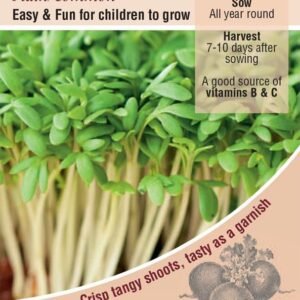 Kings Seeds  Cress Plain / Common Seeds