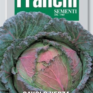 Franchi Seeds of Italy Savoy Cabbage S. Michele Seeds