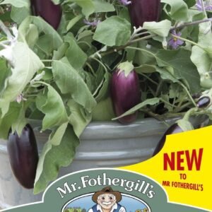 Mr Fothergills Aubergine Jewel Jet F1 10 Seeds