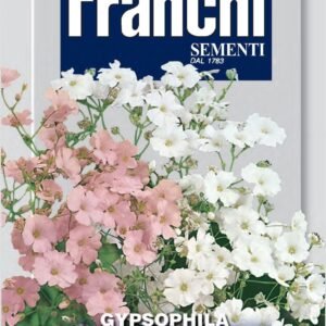 Franchi Seeds of Italy - Flower - FDBF_ 331-1 - Gypsophila elegant Mix - Bridal Veil - Seeds