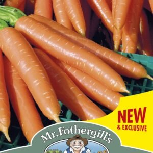 Mr Fothergills Carrot Volcano F1 - 350 Seeds