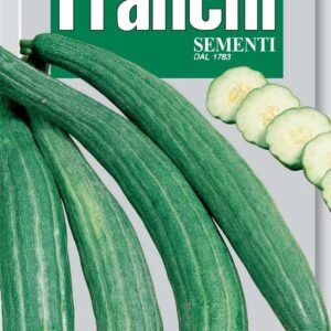 Franchi Seeds of Italy - DBO 37/39 - Cucumber Melon - Tortarello Barese - Seeds