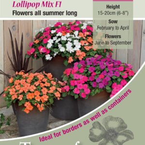 Kings Seeds Impatiens Lollipop Mix F1 - 20 Seeds