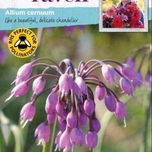 Johnsons Flowers Sarah Raven's Cut Flowers Allium cernuum 30 Seeds