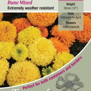 Kings Seeds Marigold African Dune Mixed 50 Seed