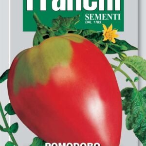 Franchi Seeds of Italy Tomato Cuor Di Bue Seeds
