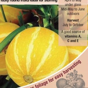 Kings Seeds  Courgette Summer Holiday F1 Seeds