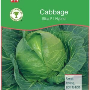 Thompson & Morgan RHS Cabbage Elisa F1 Hybrid 30 Seed