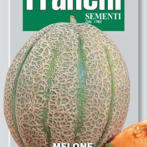 Franchi Seeds of Italy - DBO 91/3 - Melon - Retato Degli Ortolani - Seeds