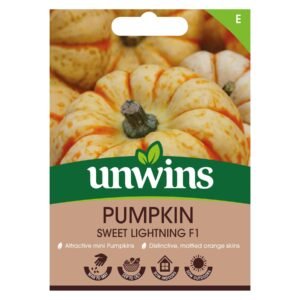 Unwins Vegetable Pumpkin Sweet Lightning F1 Hybrid - 6 Seeds